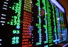 Solicitare a DEN, la Comisia Europeană, pentru grupurile de la Rovinari și Turceni