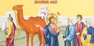 Calea, Lumina, Adevărul şi Viaţa! – Dumnezeu ne iubeşte cu milostenie, după modul cum reușim să împlinim poruncile Lui, smerindu-ne, dăruindu-ne, sacrificându-ne pentru cei care ar putea trăi prin noi!