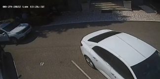 Avem dovada video! Beregan nu s-a aruncat în fața Dusterului condus de primarul Bobaru