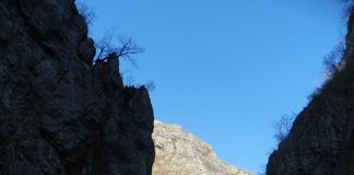 PROTECŢIA COMPLEXULUI CARSTIC SOHODOL