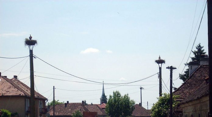 A lovit o mașină parcată și a dat bir cu fugiții