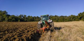 Agricultura pe înțelesul tuturor – Graficul lucrărilor agricole în luna noiembrie