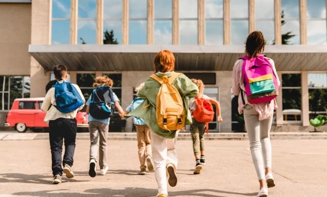 Noua lege a Educaţiei, votată până pe 15 martie