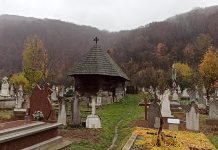 Bisericile de lemn din Peștișani, deschise simultan