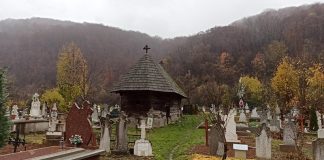 Bisericile de lemn din Peștișani, deschise simultan