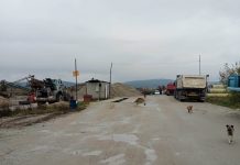 I-a decedat soțul, în urmă cu șase luni, zdrobit de o camionetă! Dosarul, în sertar la Poliția Turceni