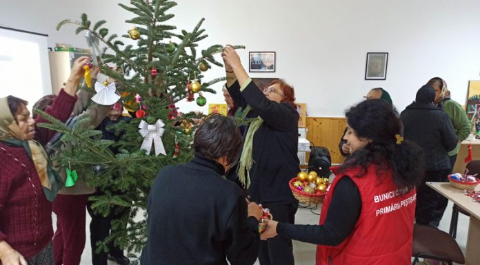Bunicii Comunității Peștișani – Târg caritabil!