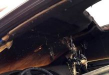 Condamnați după ce au incendiat două autoturisme la Novaci!