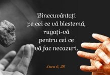 Educaţia…şi Lecţia de viaţă! – Mediatizarea excesivă şi promovarea unor fericiri iluzorii – ,,Fericirea înseamnă să poţi să rezişti în faţa loviturilor vieţii! Fericirea este o mare iluzie care ne însoţeşte toată viaţa”! (Betty Marcovici)