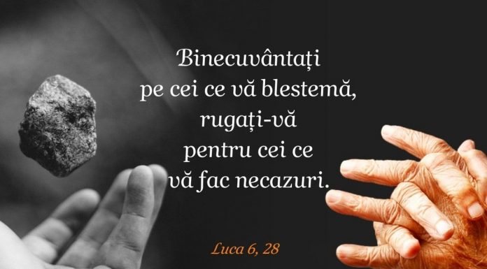 Educaţia…şi Lecţia de viaţă! – Mediatizarea excesivă şi promovarea unor fericiri iluzorii – ,,Fericirea înseamnă să poţi să rezişti în faţa loviturilor vieţii! Fericirea este o mare iluzie care ne însoţeşte toată viaţa”! (Betty Marcovici)