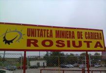 CEO închiriază autovehicule de transport mixt pentru Roșiuța