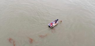 Poluare pe Dunăre, panică în Severin!