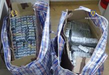 Și-a aflat pedeapsa pentru drogurile pe care le ducea în Norvegia!