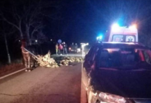 Accident la Bălești, trei oameni au nevoie de îngrijiri medicale