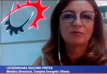 Lăcrămioara Diaconu Pințea pleacă din Directoratul CEO