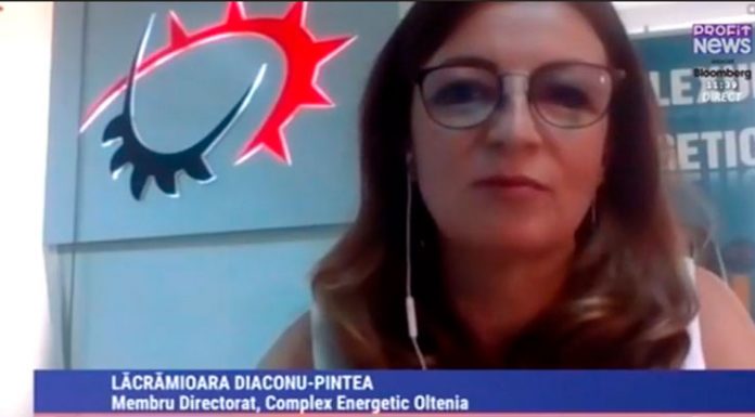 Lăcrămioara Diaconu Pințea pleacă din Directoratul CEO