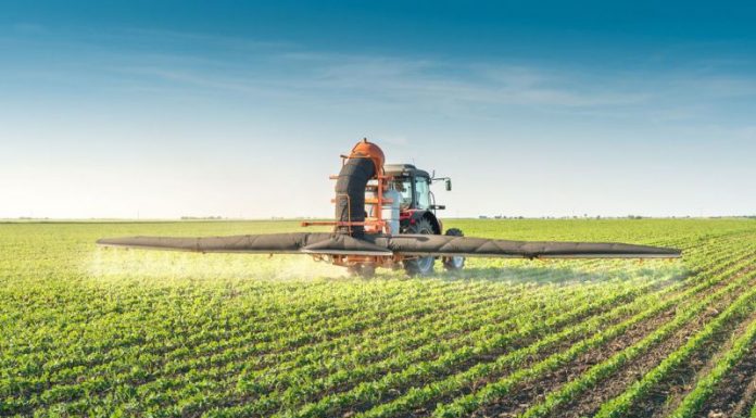 Agricultura pe înțelesul tuturor – Fertilizarea fazială a cerealelor păioase