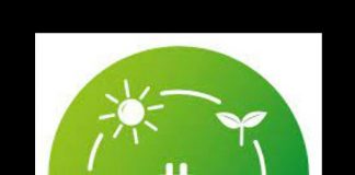 Producătorii de energie verde din România ar putea intra în faliment din cauza noii legislații