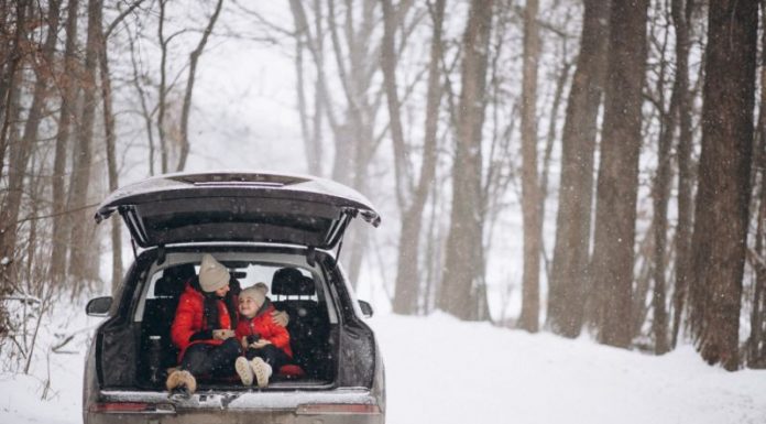 Tot ce trebuie să știi despre cureaua de distribuție