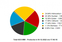 Parcurile fotovoltaice ale CEO vor avea maximum 5 angajați – Azi, ZERO energie din panouri!