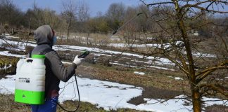 Agricultura pe înțelesul tuturor – Lucrări agricole în repausul vegetativ