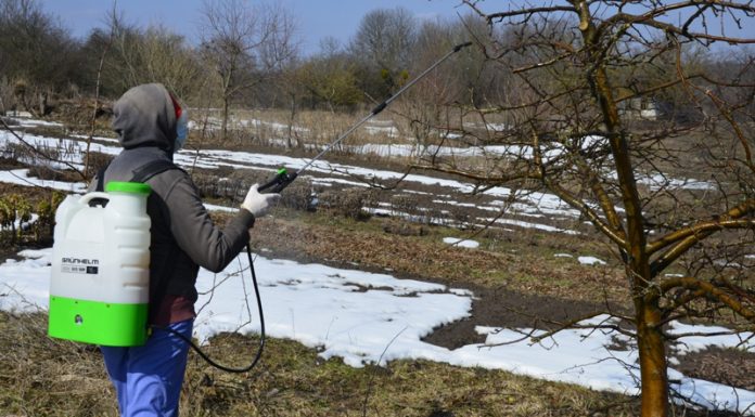 Agricultura pe înțelesul tuturor – Lucrări agricole în repausul vegetativ