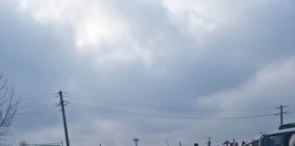 Conservatorii gorjeni iau poziție: Opriți masacrul de la CEO!