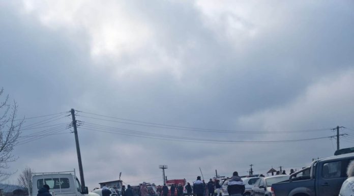 Conservatorii gorjeni iau poziție: Opriți masacrul de la CEO!