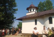 PLUGUŞOR LA TEMELIE…