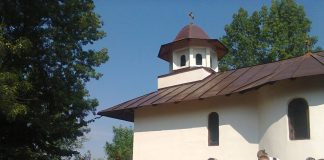 PLUGUŞOR LA TEMELIE…