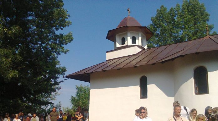 PLUGUŞOR LA TEMELIE…