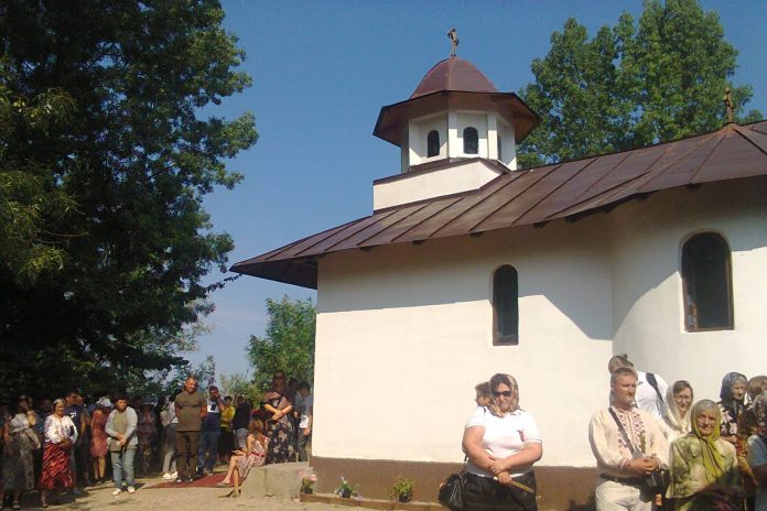 PLUGUŞOR LA TEMELIE…