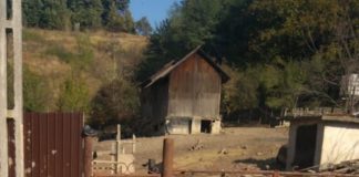 Un cunoscut afacerist din Motru pierde procesul intentat primăriei! Este obligat să-și demoleze gardul de la porcărie