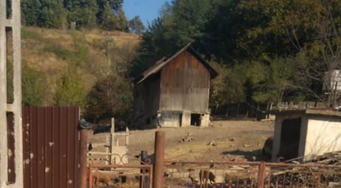 Un cunoscut afacerist din Motru pierde procesul intentat primăriei! Este obligat să-și demoleze gardul de la porcărie