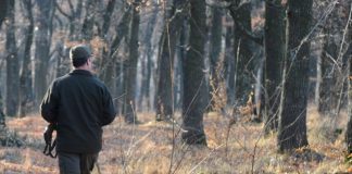 Se caută pădurari