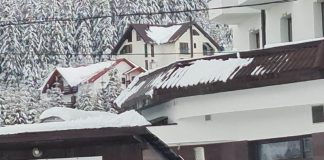 Un deputat de la Forța Dreptei s-a rățoit la un polițist de la Rutieră, pentru că nu avea loc special de parcare la Rânca