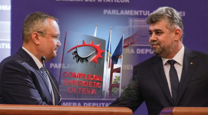 Viitorii șefi ai CEO, stabiliți în coaliția de guvernare