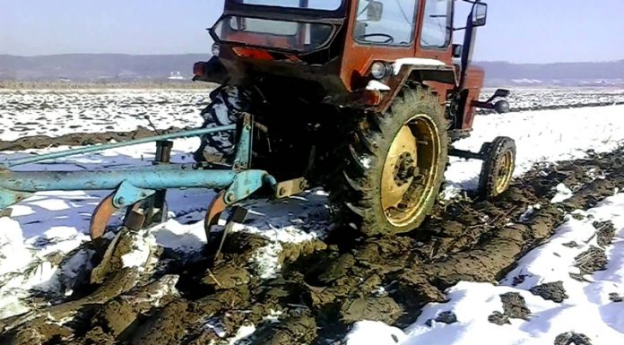 Agricultura pe înțelesul tuturor – Graficul lucrărilor agricole în luna ianuarie