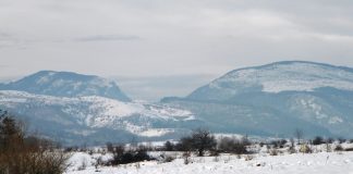 Pericolul alb – (1)