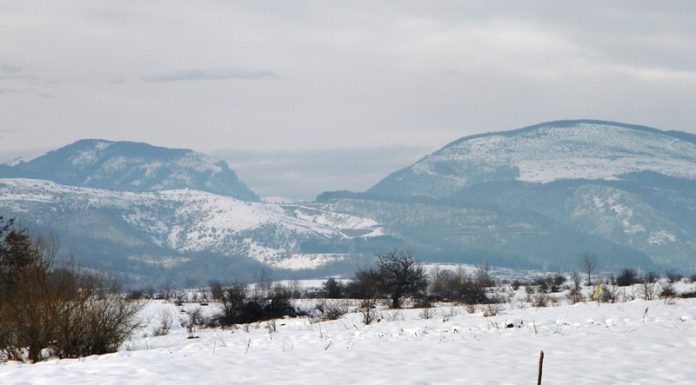 Pericolul alb – (1)