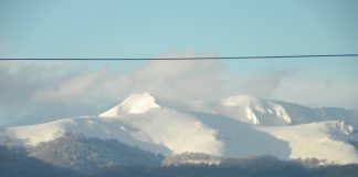 Pericolul alb – (2)