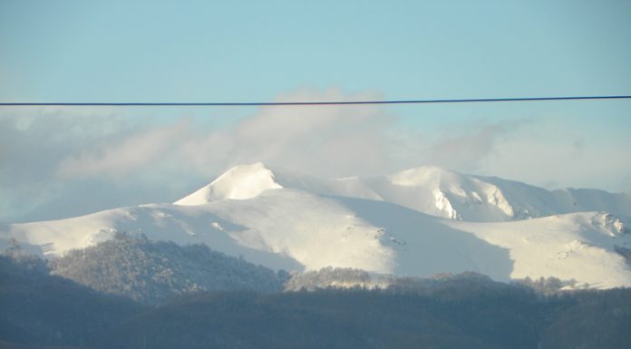 Pericolul alb – (2)