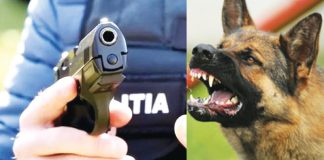 Ofițer al IPJ Gorj, în arest la domiciliu!