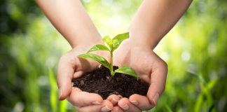 Agricultura pe înțelesul tuturor – Să ne protejăm ecologic grădina, casa