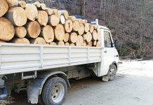 Caporal prins băut la volanul unei camionete cu lemne