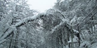 Pledoarie pentru drumeţia de iarnă