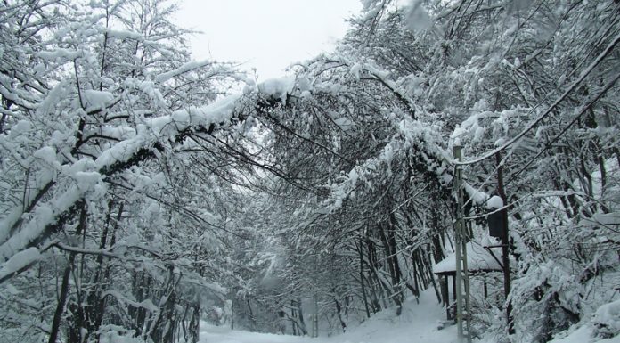 Pledoarie pentru drumeţia de iarnă