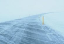 Cod portocaliu de viscol în cinci județe