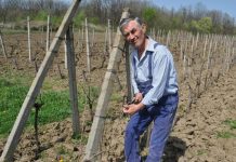 Gazeta Gorjului – Botezul viilor la Bălănești