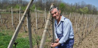 Gazeta Gorjului – Botezul viilor la Bălănești